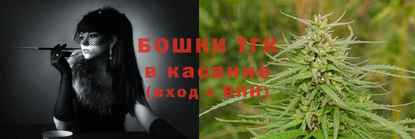 СК Бронницы