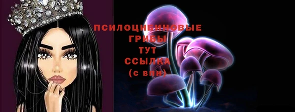 бошки Бугульма