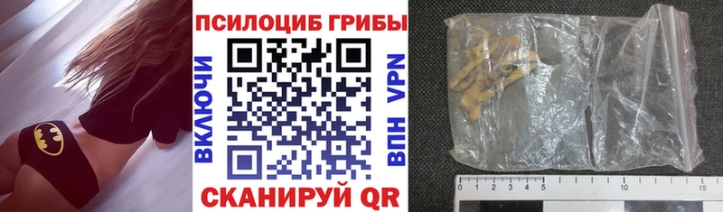 закладка  Верещагино  Псилоцибиновые грибы Psilocybe 
